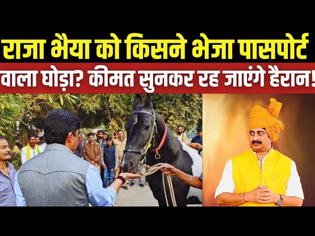 राजा भैया को महाराष्ट्र से किसने भेजा पासपोर्ट वाला घोड़ा? कीमत सुनकर रह जाएंगे हैरान!
